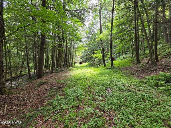 37 Acres of Recreational Land with Home for Sale in Starrucca, Pennsylvania