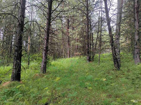5.34 Acres of Land for Sale in Cottonwood, Idaho