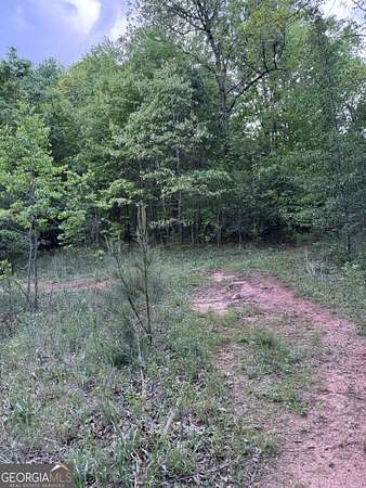 499 Acres of Land for Sale in Toccoa, Georgia