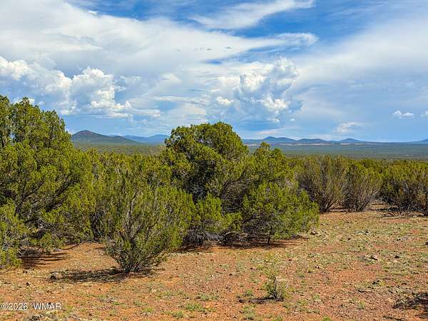 13.3 Acres of Recreational & Residential Land for Sale in Show Low, Arizona