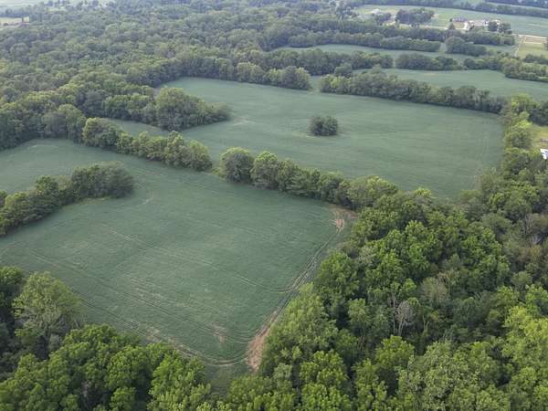 59.5 Acres of Land for Sale in Greenfield, Indiana