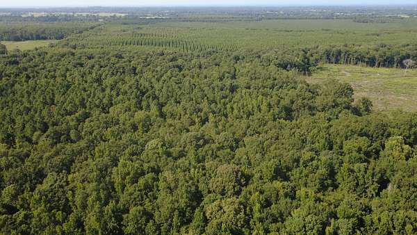 39.8 Acres of Recreational Land for Sale in Idabel, Oklahoma