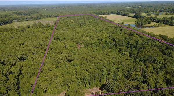 39.8 Acres of Recreational Land for Sale in Idabel, Oklahoma