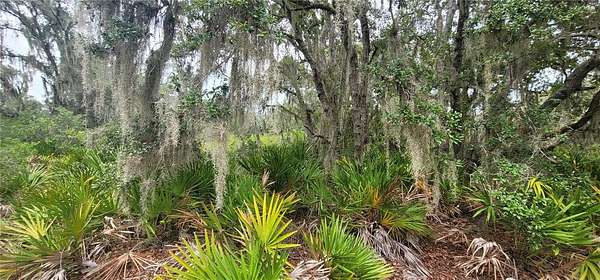 0.34 Acres of Residential Land for Sale in Sebring, Florida