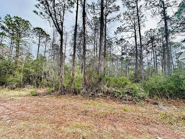 9 Acres of Residential Land for Sale in Carrabelle, Florida