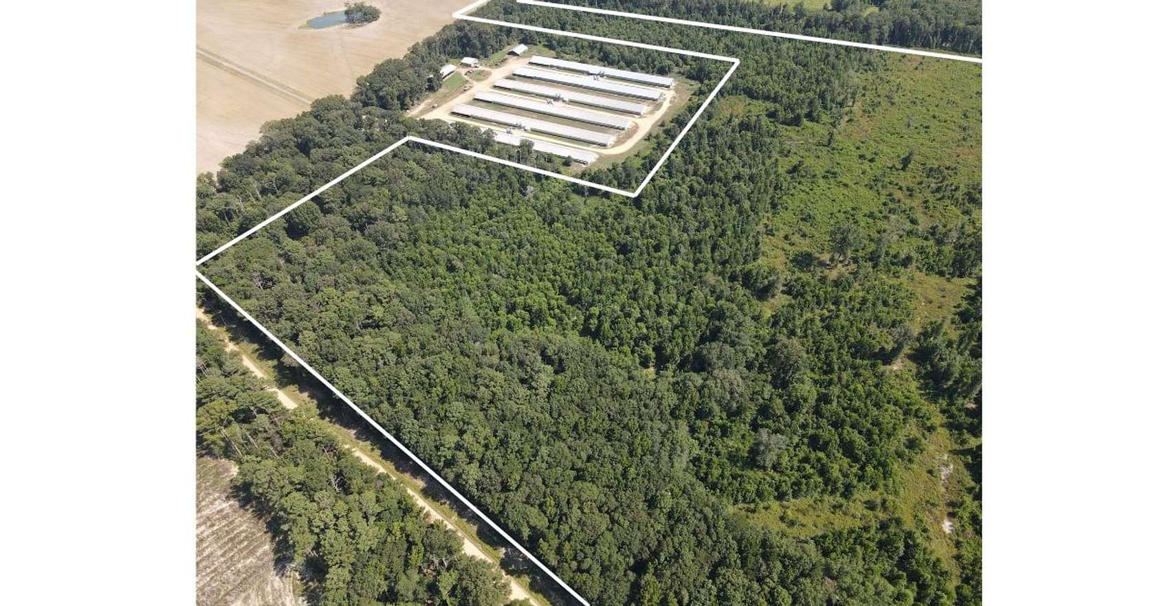 50 Acres of Recreational Land for Sale in Monticello, Mississippi