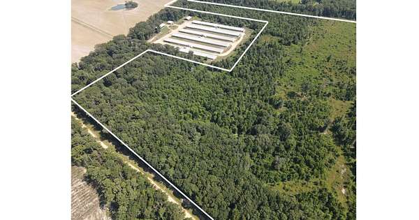 50 Acres of Recreational Land for Sale in Monticello, Mississippi