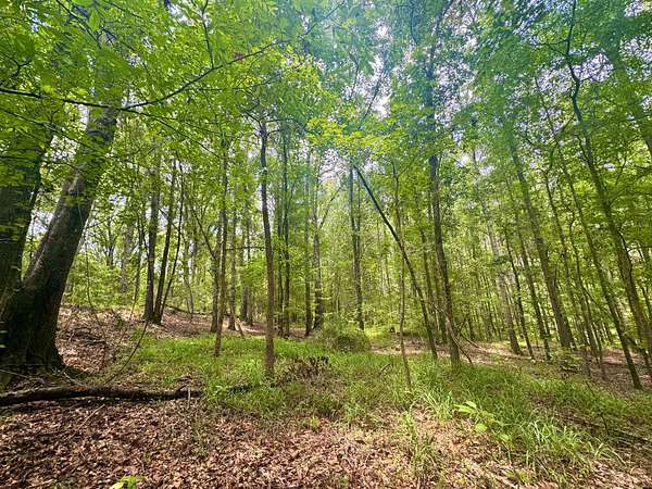 45 Acres of Recreational Land for Sale in Union Springs, Alabama