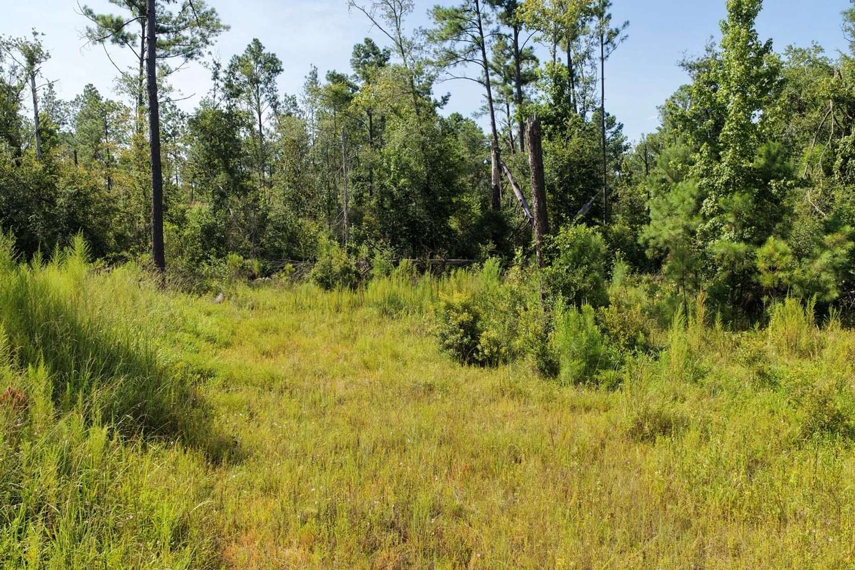 76.6 Acres of Recreational Land for Sale in Madison, Florida