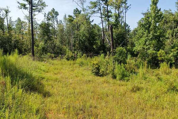 76.6 Acres of Recreational Land for Sale in Madison, Florida