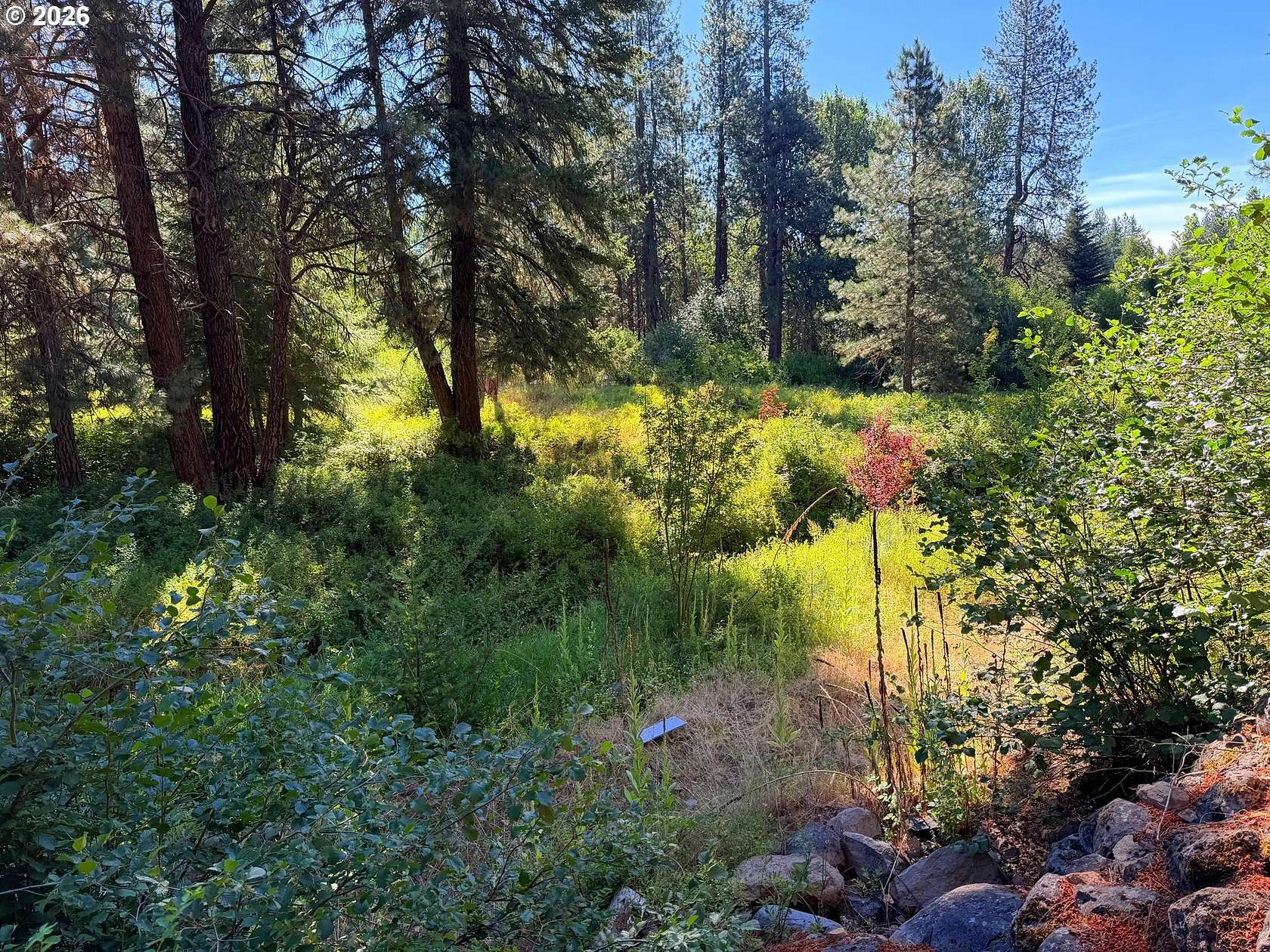 5 Acres of Residential Land for Sale in Goldendale, Washington