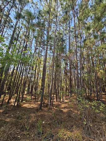 0.33 Acres of Residential Land for Sale in Aiken, South Carolina