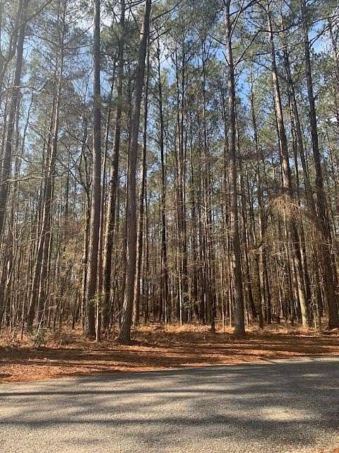 0.47 Acres of Land for Sale in Pachuta, Mississippi