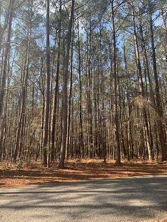 0.47 Acres of Land for Sale in Pachuta, Mississippi