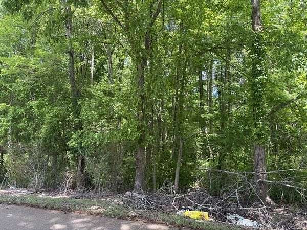 145 Acres of Recreational Land for Sale in Moscow, Tennessee