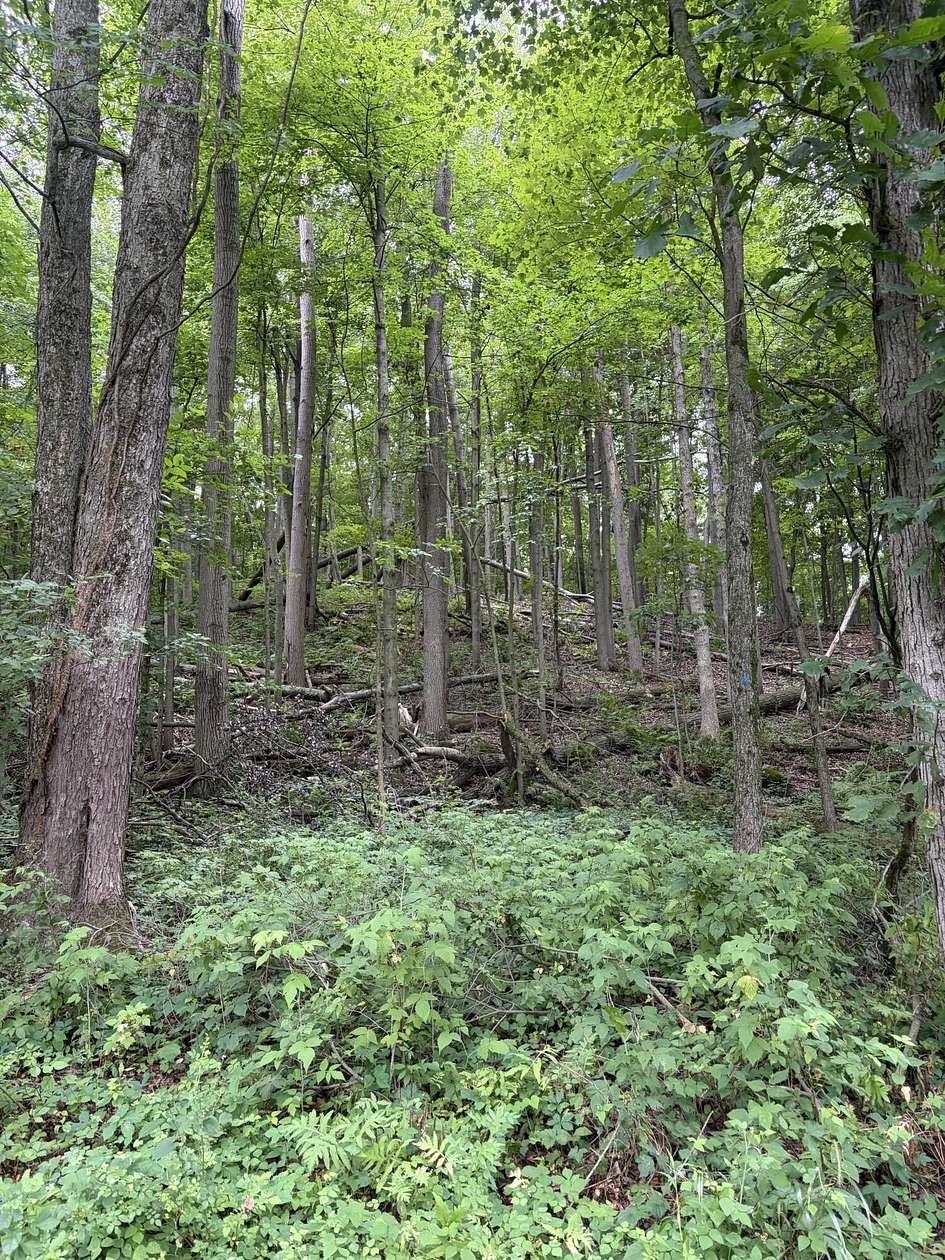 2.5 Acres of Residential Land for Sale in Lowell, Michigan