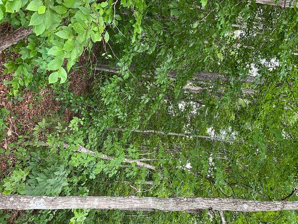 6.29 Acres of Land for Sale in Burkesville, Kentucky
