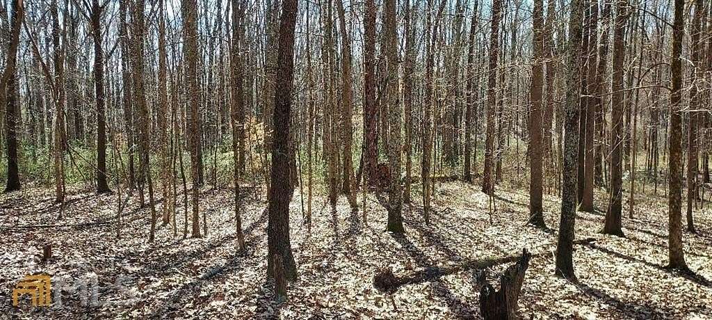 10 Acres of Residential Land for Sale in Rutledge, Georgia