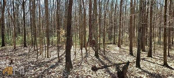 10 Acres of Residential Land for Sale in Rutledge, Georgia