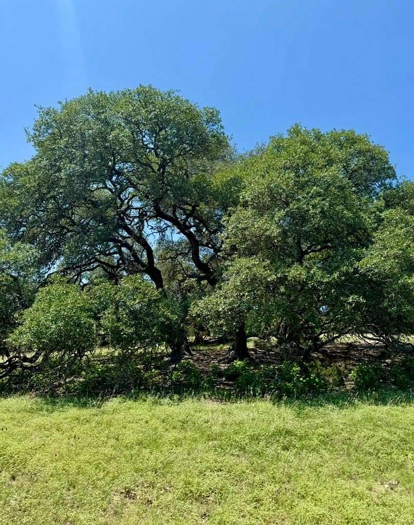 15 Acres of Land for Sale in Fredericksburg, Texas