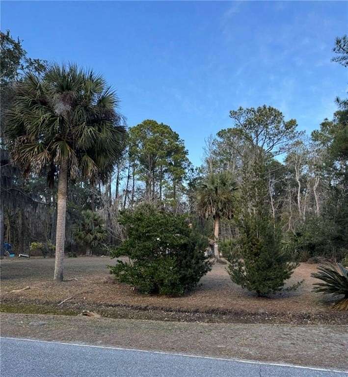 0.4 Acres of Residential Land for Sale in Meridian, Georgia