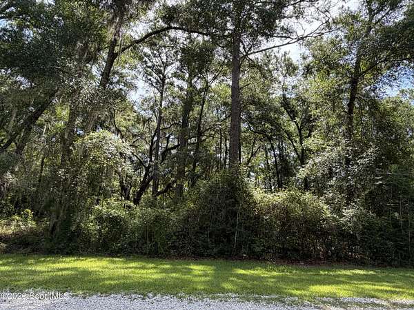 1.3 Acres of Residential Land for Sale in Darien, Georgia