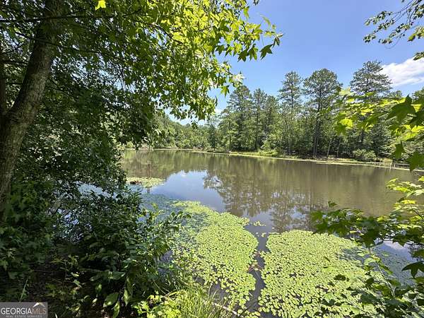 104 Acres of Recreational & Residential Land for Sale in Covington, Georgia