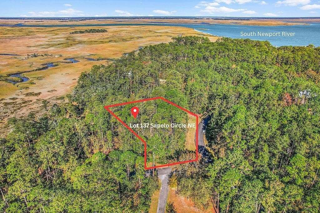 0.79 Acres of Residential Land for Sale in Townsend, Georgia