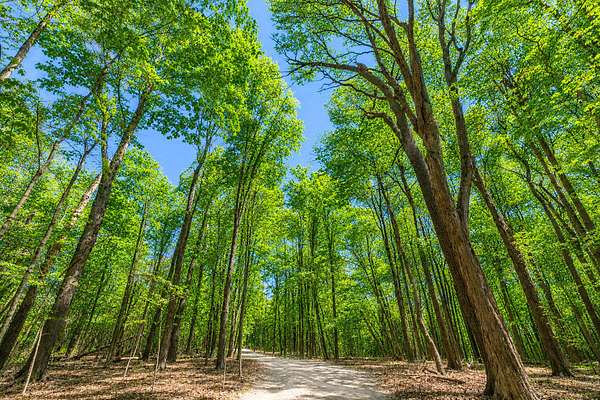 8 Acres of Land with Home for Sale in Hartford, Wisconsin