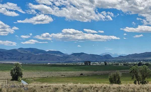 30 Acres of Recreational & Residential Land for Sale in Sheridan, Montana