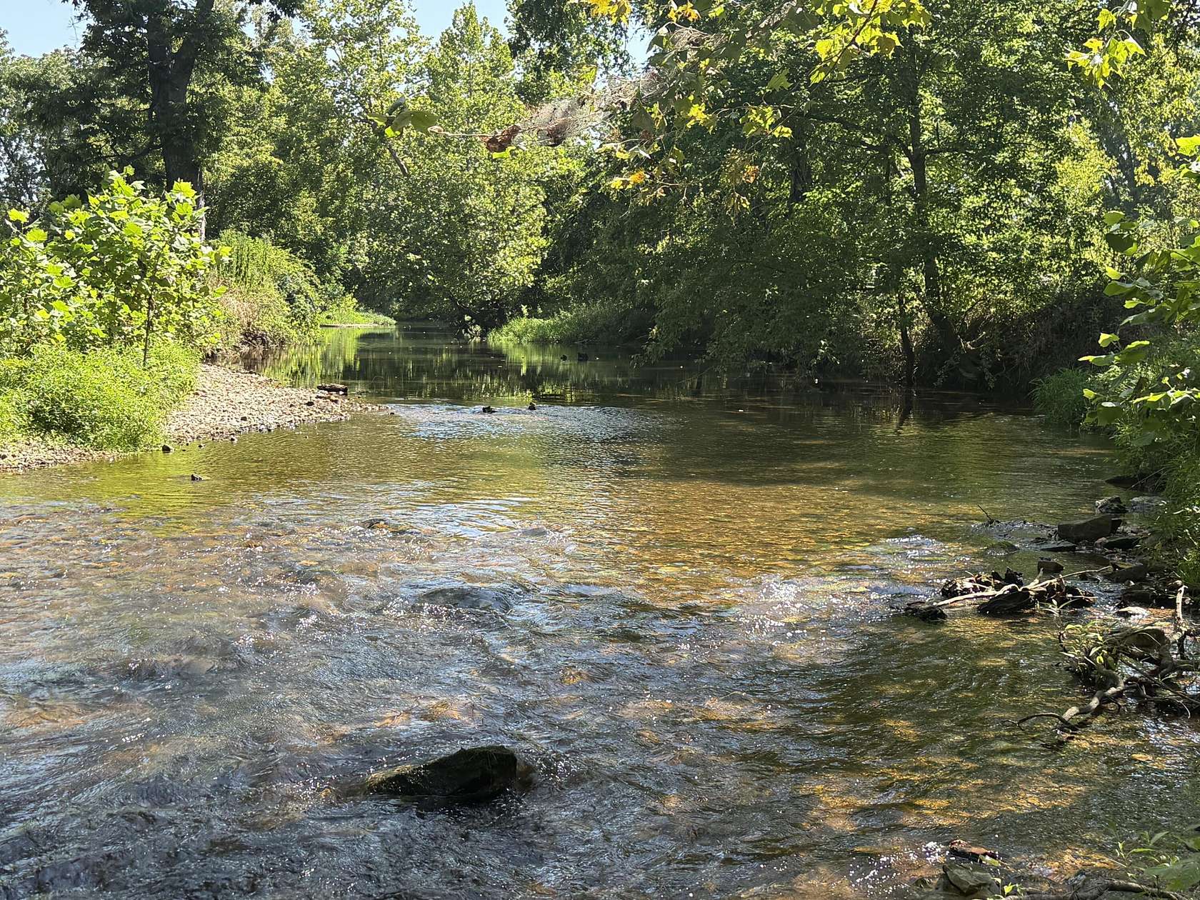 76.5 Acres of Recreational & Residential Land for Sale in Pierce City, Missouri