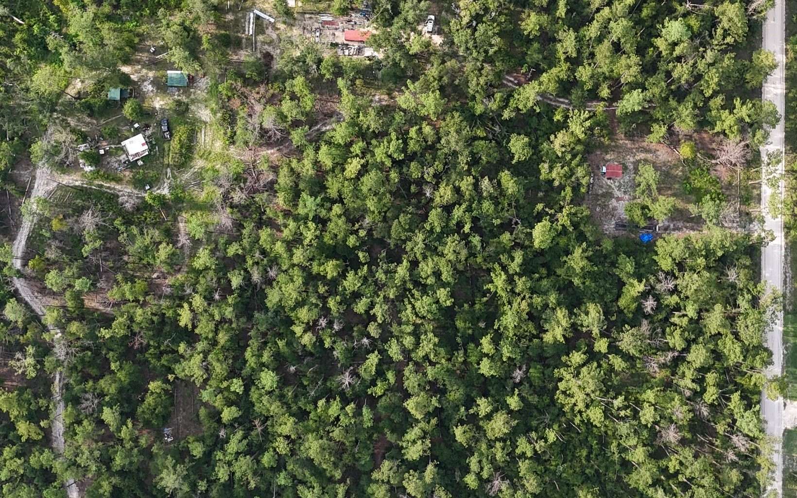 1 Acre of Residential Land for Sale in Live Oak, Florida