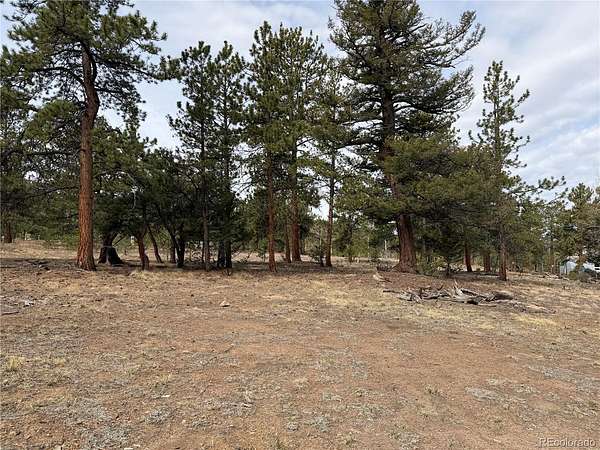 2.5 Acres of Residential Land for Sale in Buena Vista, Colorado