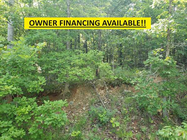 0.33 Acres of Residential Land for Sale in Cherokee Village, Arkansas