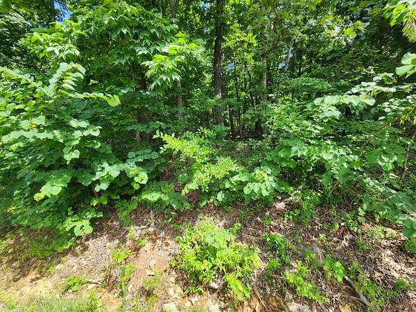 0.43 Acres of Residential Land for Sale in Cherokee Village, Arkansas