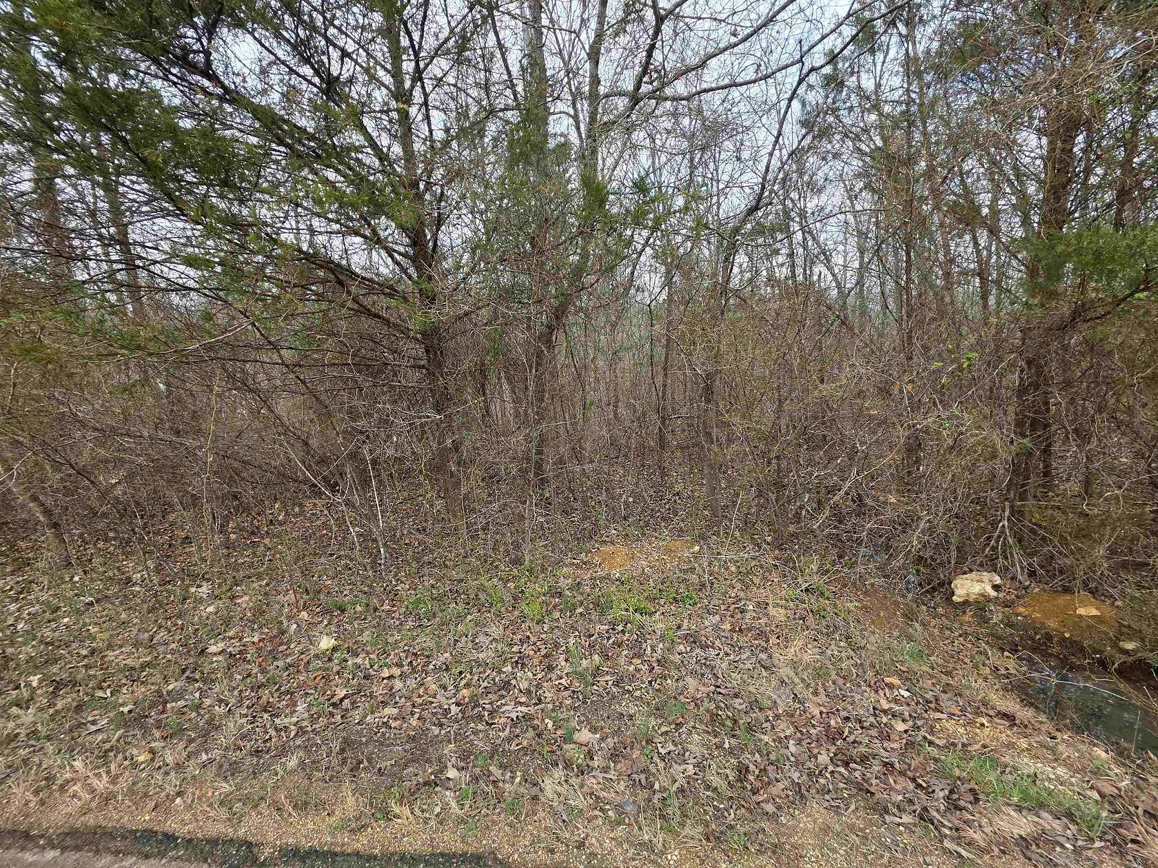 0.26 Acres of Land for Sale in Ozark Acres, Arkansas