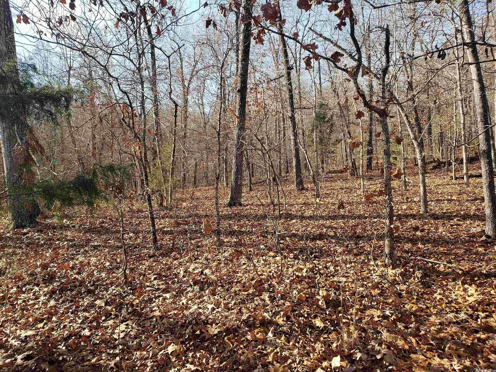 0.59 Acres of Residential Land for Sale in Cherokee Village, Arkansas