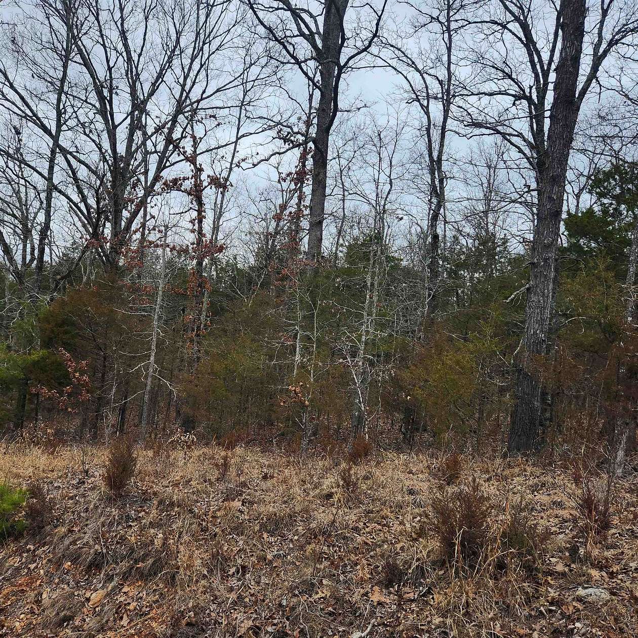 0.15 Acres of Residential Land for Sale in Cherokee Village, Arkansas