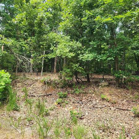 0.36 Acres of Residential Land for Sale in Cherokee Village, Arkansas