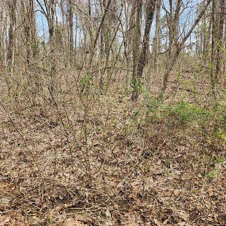 0.18 Acres of Residential Land for Sale in Cherokee Village, Arkansas
