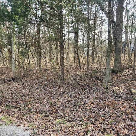0.34 Acres of Residential Land for Sale in Cherokee Village, Arkansas