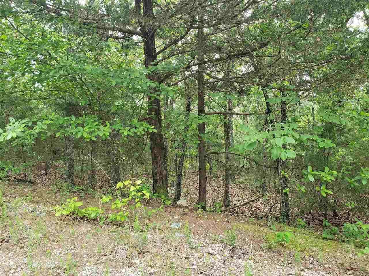 0.31 Acres of Residential Land for Sale in Cherokee Village, Arkansas