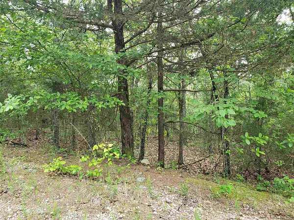 0.31 Acres of Residential Land for Sale in Cherokee Village, Arkansas