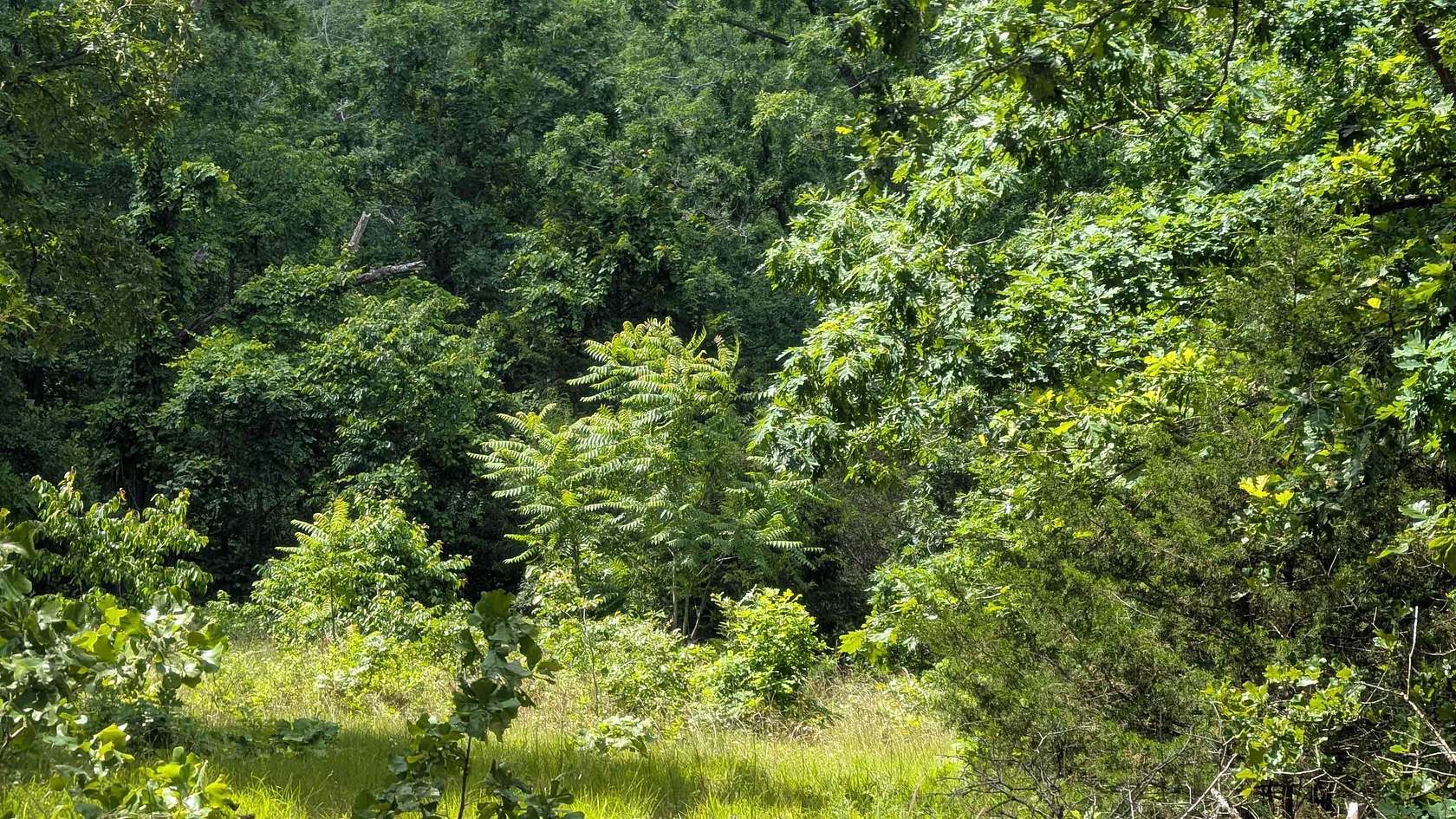 0.3 Acres of Residential Land for Sale in Horseshoe Bend, Arkansas