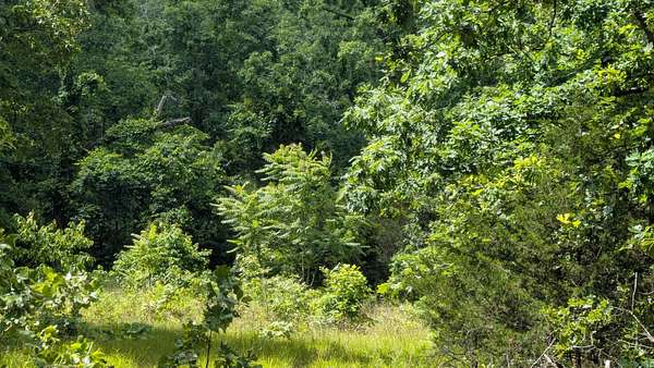 0.3 Acres of Residential Land for Sale in Horseshoe Bend, Arkansas