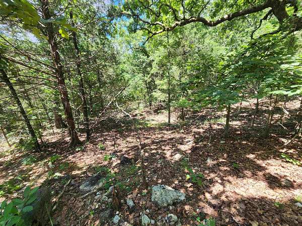 0.11 Acres of Land for Sale in Cherokee Village, Arkansas