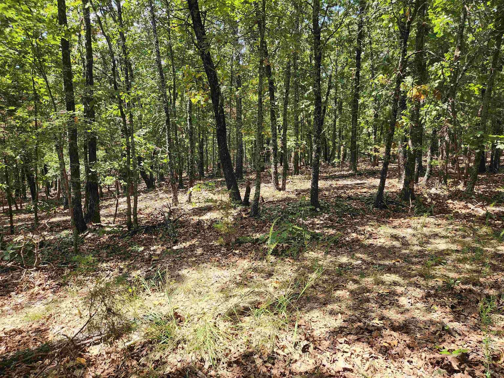 0.25 Acres of Residential Land for Sale in Highland, Arkansas