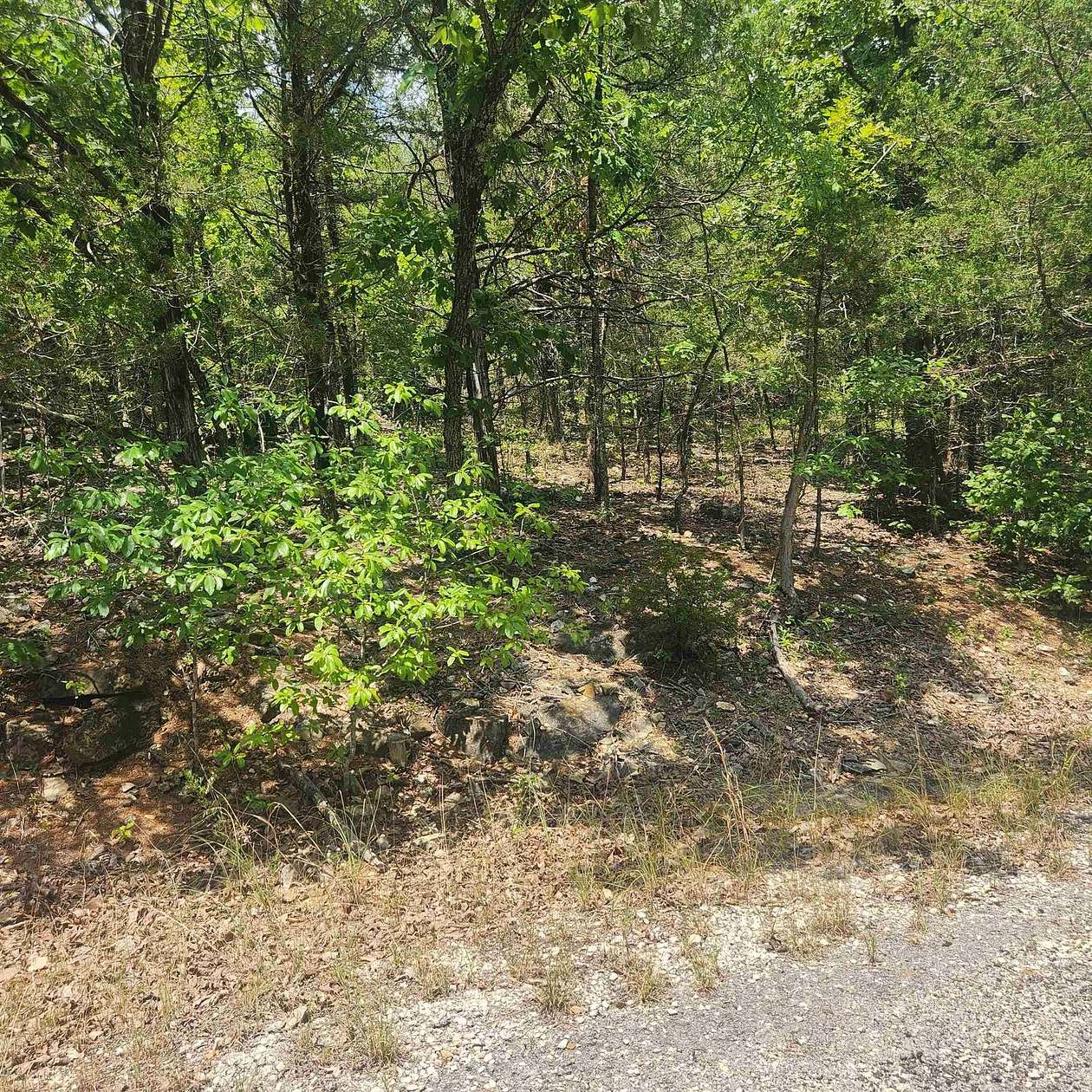 0.34 Acres of Residential Land for Sale in Cherokee Village, Arkansas