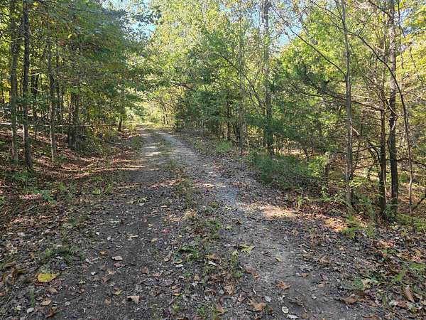 0.25 Acres of Residential Land for Sale in Cherokee Village, Arkansas