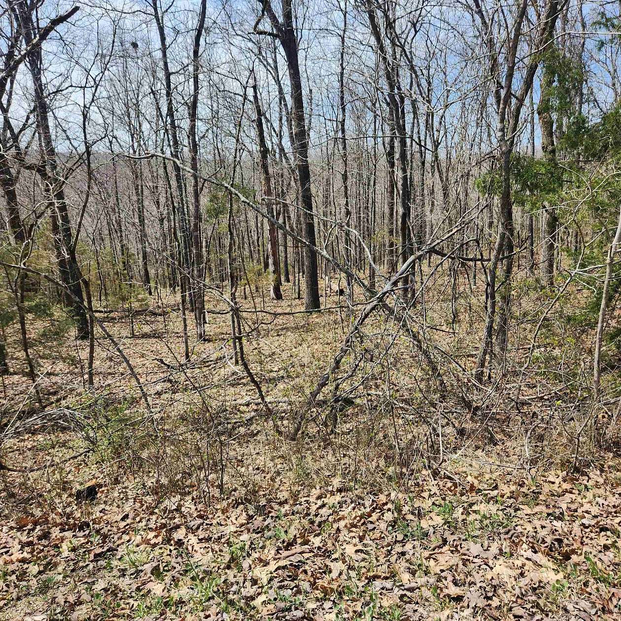 0.29 Acres of Residential Land for Sale in Cherokee Village, Arkansas
